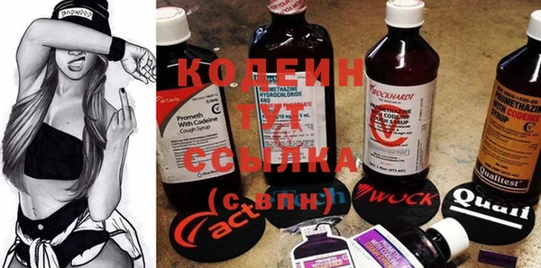 ГАЛЛЮЦИНОГЕННЫЕ ГРИБЫ Инсар
