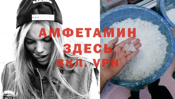 ГАЛЛЮЦИНОГЕННЫЕ ГРИБЫ Инсар