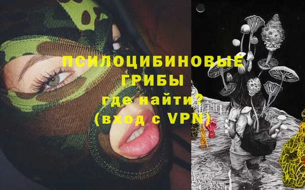 ГАЛЛЮЦИНОГЕННЫЕ ГРИБЫ Инсар