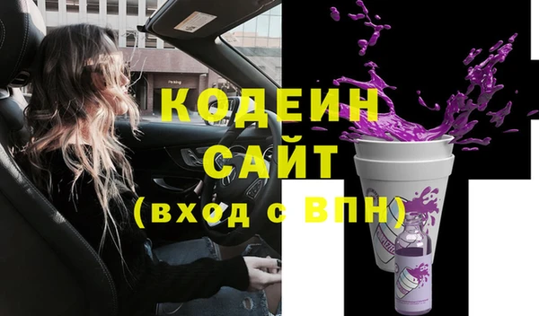 ГАЛЛЮЦИНОГЕННЫЕ ГРИБЫ Инсар