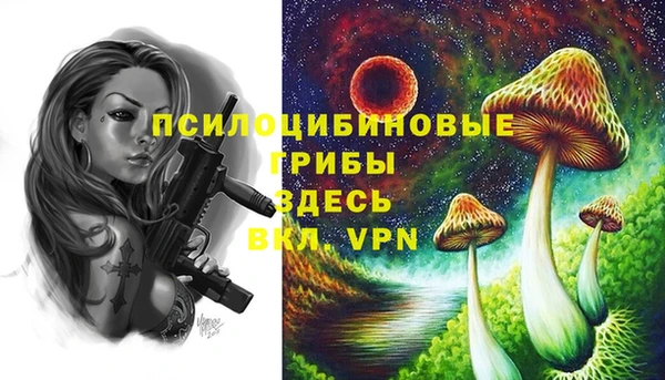 ALPHA-PVP Инта